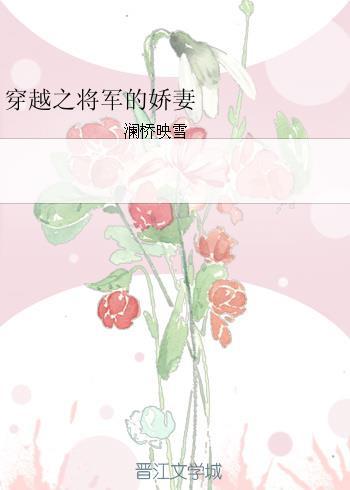 将军的穿越小妾