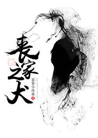 丧家之犬的读音