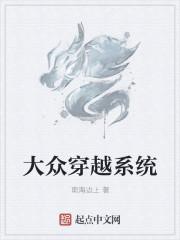 大众智驾系统