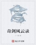 问剑风云录