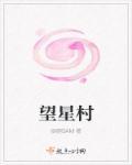 望星村价值