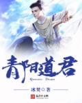 都市道长叶青阳