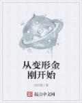 变形金刚排名前十名