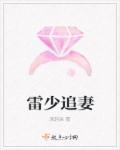 男主角叫雷少辉