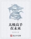 太极高手是谁?