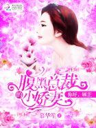 腹黑总裁和淘气小娇妻