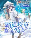 甜妻攻略陆总前妻太傲娇短剧全集