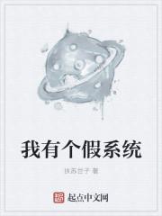 我可能有个假系统