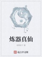 炼器真仙在线阅读