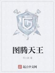 图腾资料