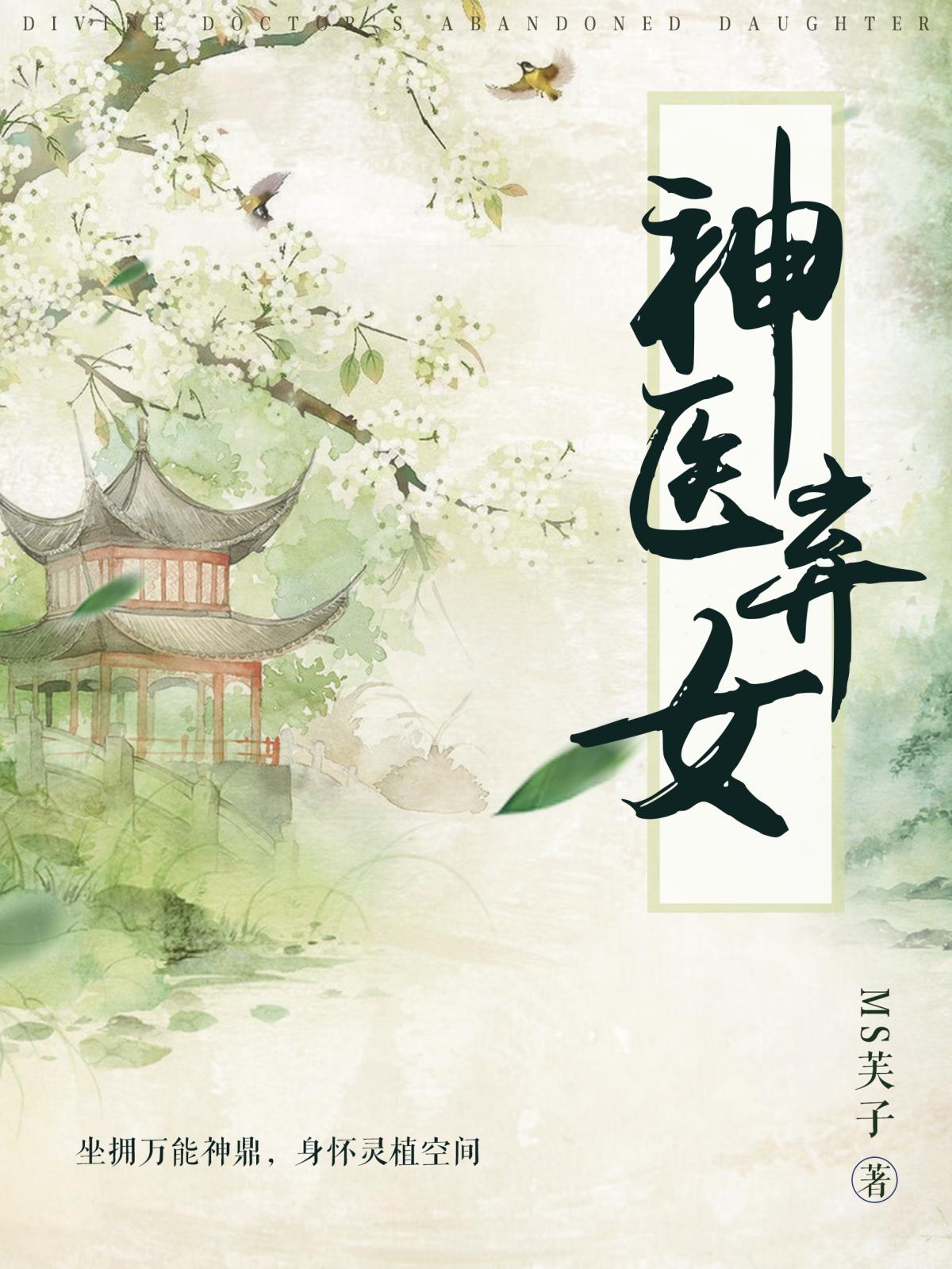 神医弃女叶凌月全文免费txt