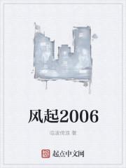 风起2005  笔趣阁