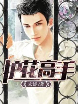 护花高手秦香全书免费