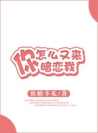 你怎么又来暗恋我全文