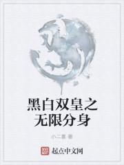 黑白双龙最新章节
