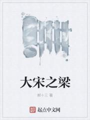 穿越宋朝梁薪
