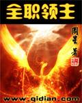 全职法师领主正版