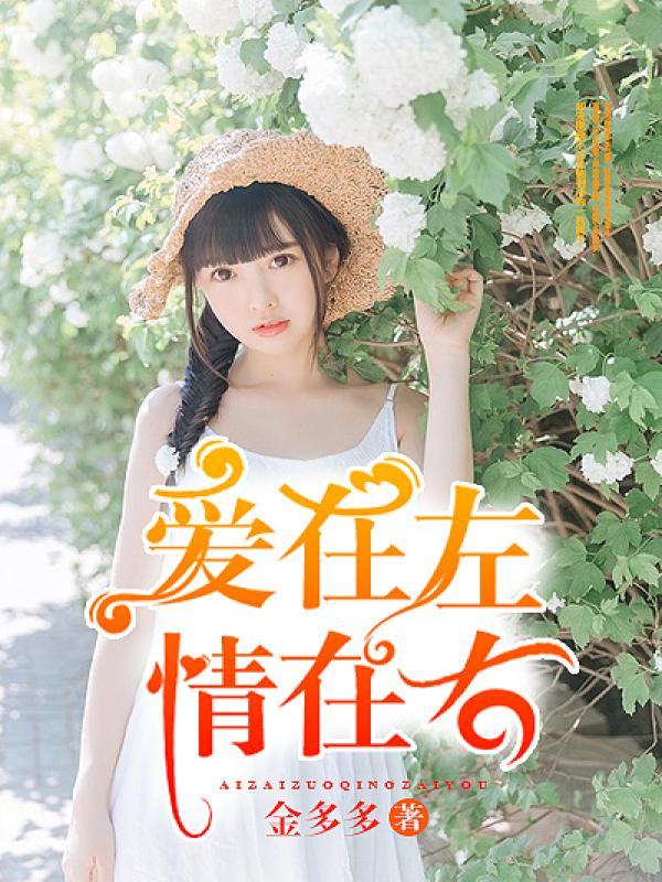 爱在左情在右歌曲dj