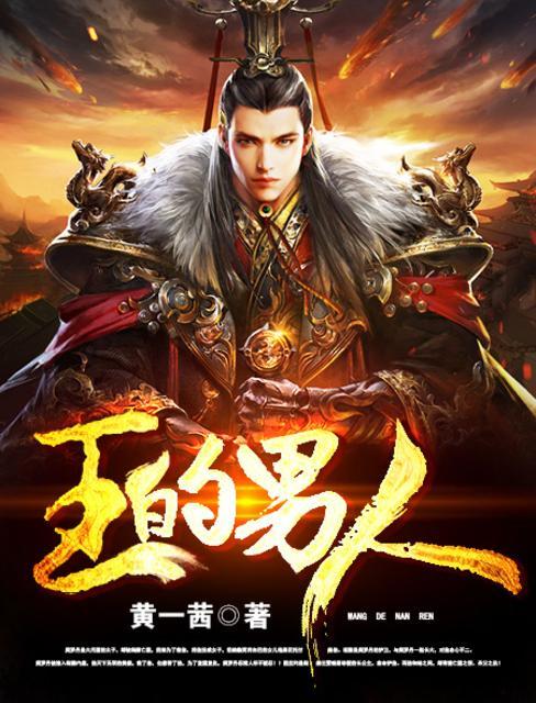 王的男人剧照高清