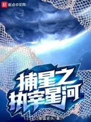 捕星之执宰星河无弹窗