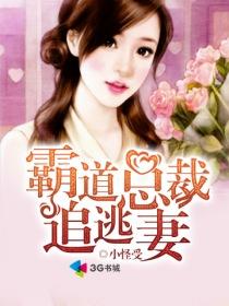 霸道总裁追逃妻视频全集
