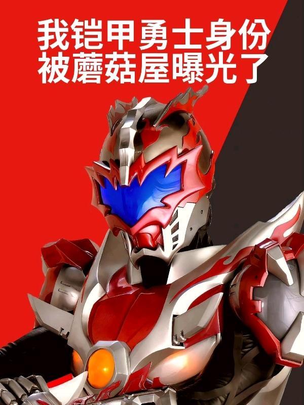 我找铠甲勇士