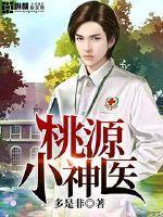 桃源小神医男主角叶凡