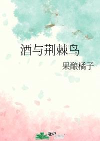荆棘与鸟txt陌客