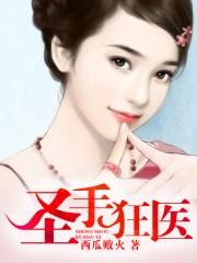 圣手狂医1到100集完整版免费观看
