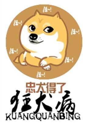 忠犬得了狂犬病哔哩哔哩