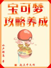 宝可梦攻略养成偶然中文