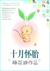 十月怀胎肚子变化图