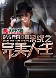 完美人生选择系统