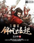 三国之锦帆崛起33言情