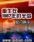 重生到1987年今夜无眠