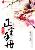 重生正室手册