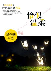 恰似温柔恰似伱全文阅读